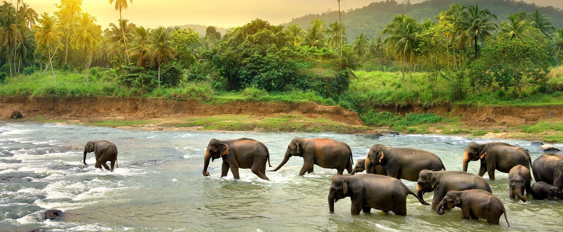 Sri Lanka Hero Background 7