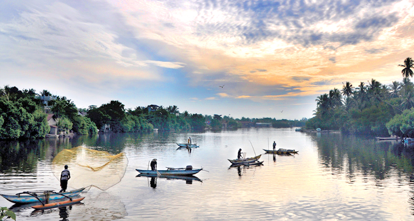 Negombo Lagoon boat safari and mangrove forests