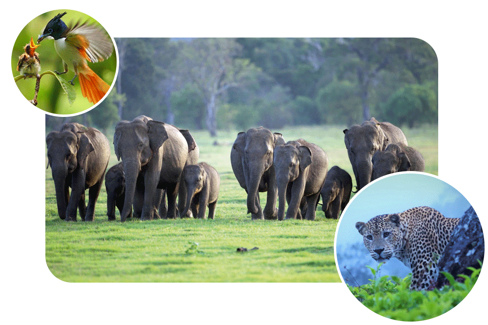 Adventure & Nature Tour